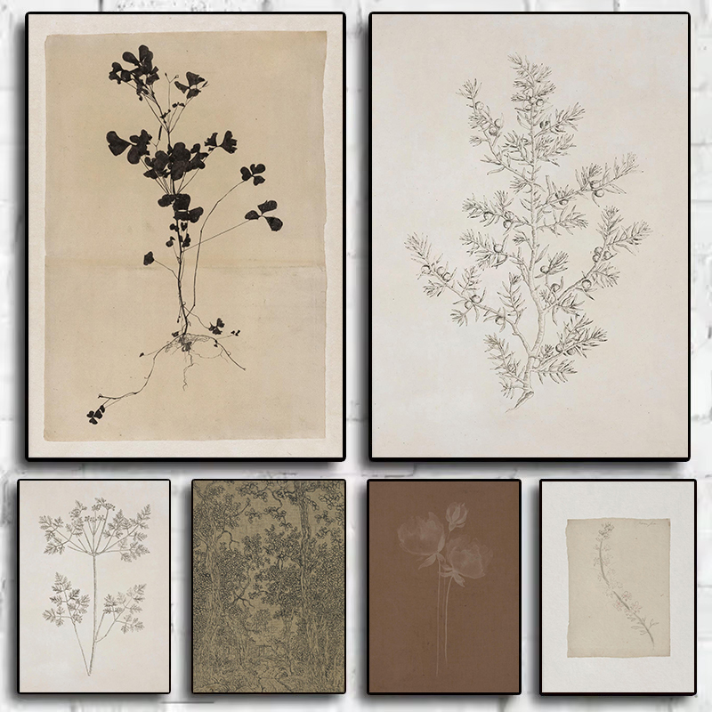 Interior Design Sketch - Vintage minimalistische olijftak tekening botanische plant